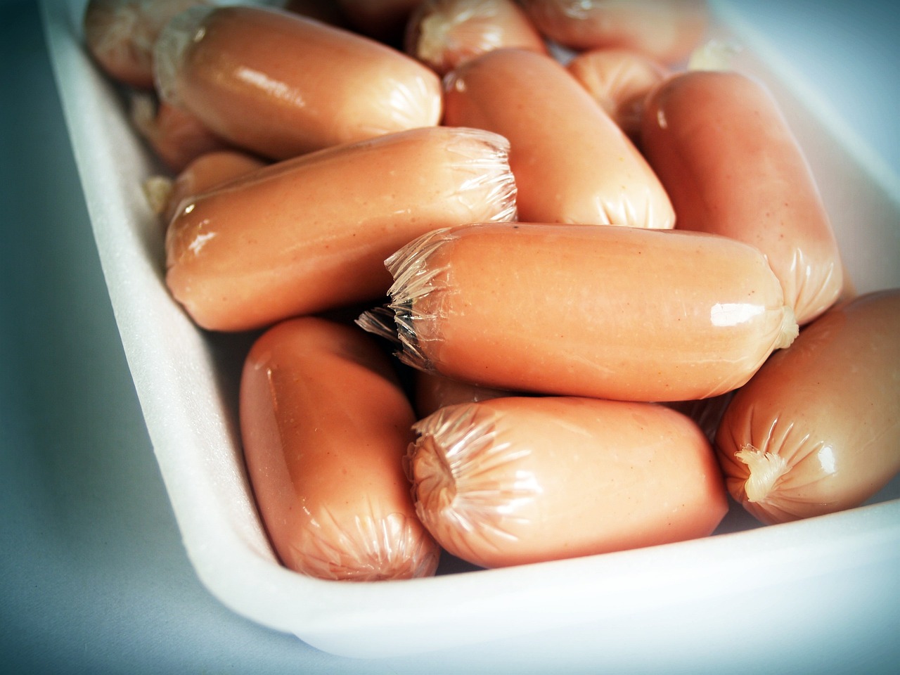 반려동물을 위한 맛있는 간식 추천