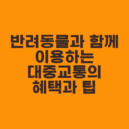 반려동물과 함께 이용하는 대중교통의 혜택과 팁